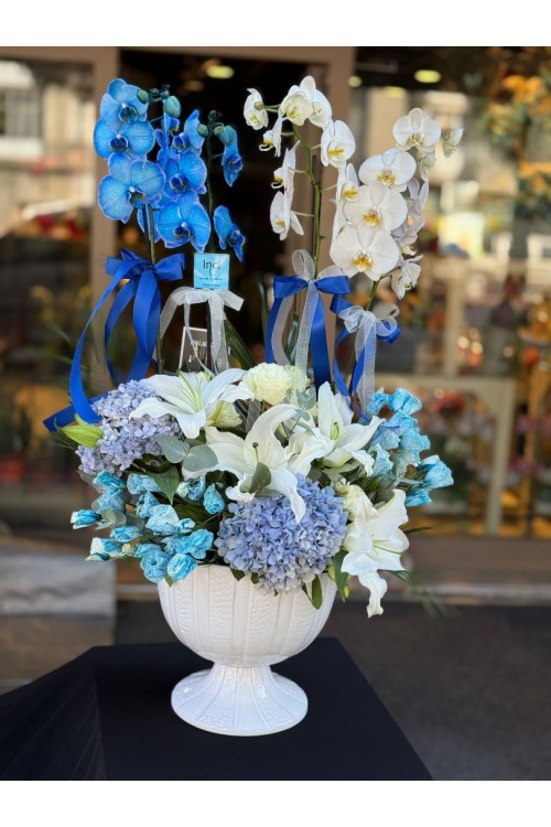 Seramik Vazoda Mavi ve Beyaz Orkide Aranjmanı